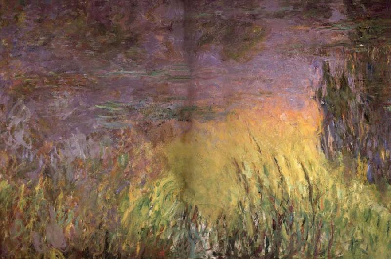 Claude Monet Water Lilies at Sunset oil painting image